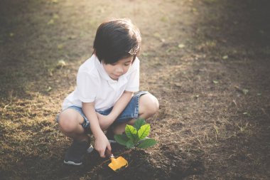 Şirin Asyalı çocuk siyah topraklarında genç ağaç dikme