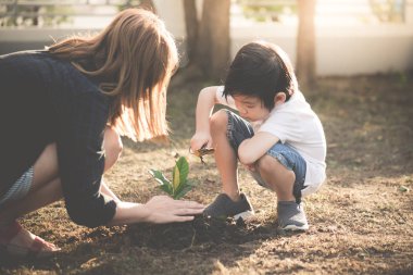 Asya anne ve oğlu birlikte siyah toprakta genç ağaç dikme