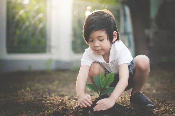 Leuke Aziatische Kind Aanplant Van Jonge Boom Zwarte Bodem — Stockfoto