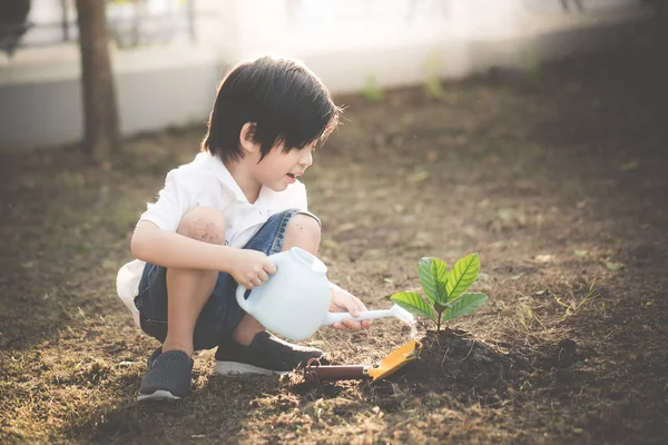 Leuke Aziatische Kind Drenken Jonge Boom — Stockfoto