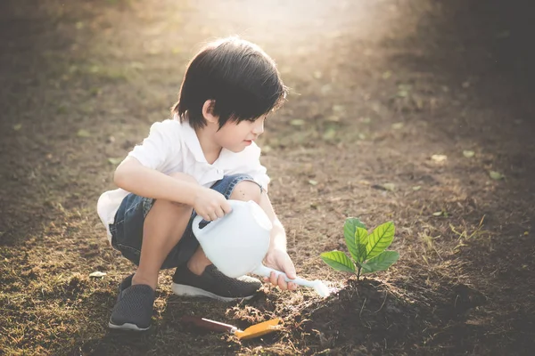 Милый Азиатский Ребенок Поливает Молодое Дерево — стоковое фото