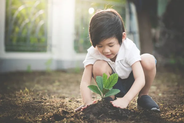 Söt Asiatiska Barn Plantering Unga Träd Svarta Jorden — Stockfoto
