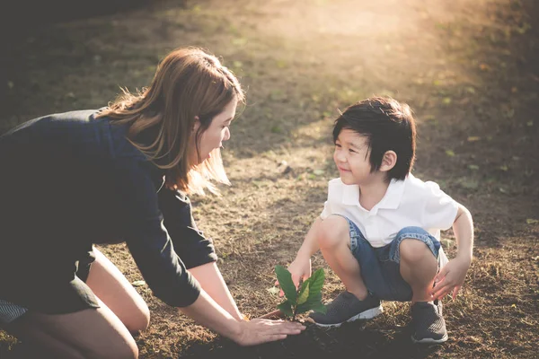 Asiatiska Mor Och Son Plantering Unga Träd Svart Jord Tillsammans — Stockfoto