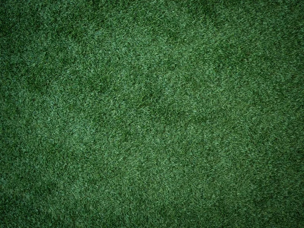 Закрыть Зеленую Текстуру Травы — стоковое фото