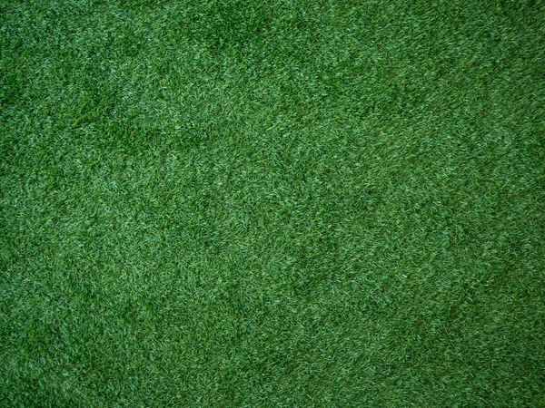 Крупним Планом Текстура Зеленої Трави — стокове фото
