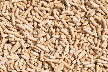 Evcil hayvanlar için tuvalet, kedi kumu için ahşap dolgu..