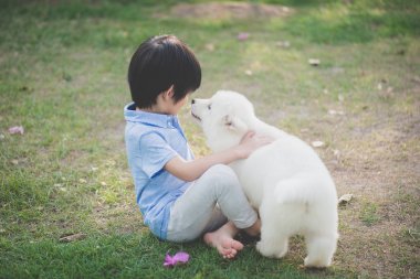 Sibirya husky köpek yavrusu parkta oynayan çocuk