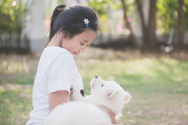 Asiatische Mädchen spielen mit sibirischen Husky Welpen — Stockfoto