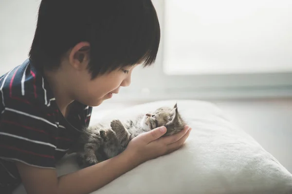 Roztomilé Asijské dítě hraje s krátkými vlasy kotě — Stock fotografie