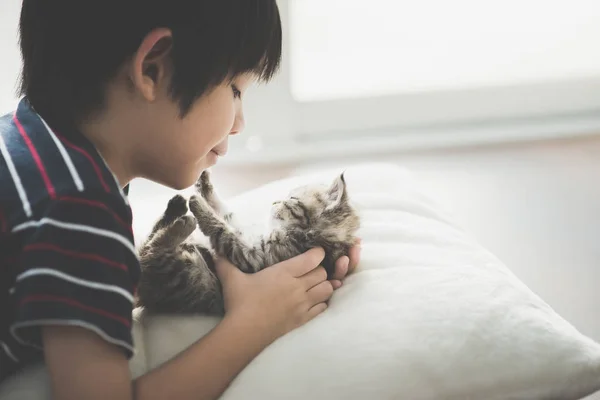 Niedliche asiatische Kind spielen mit kurzen Haaren Kätzchen — Stockfoto