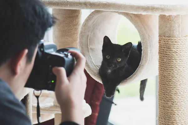 Asijské Fotograf Fotografování Černé Kotě Kočky — Stock fotografie