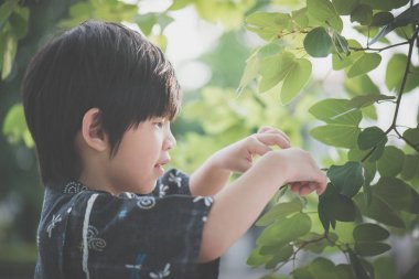 Küçük sevimli bir çocuk bir güneşli yaz gününde bir parkta oynarken bir kimono içinde