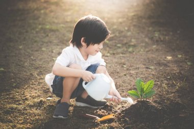 Şirin Asyalı çocuk genç ağaç sulama