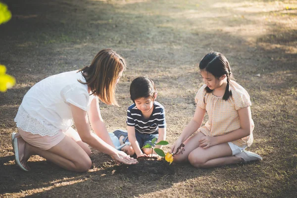 Lindos Niños Asiáticos Madre Plantando Árbol Joven Suelo Negro — Foto de Stock