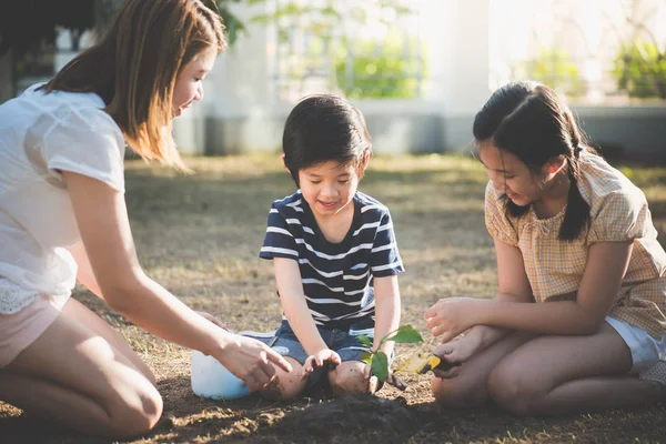 Lindos Niños Asiáticos Madre Plantando Árbol Joven Suelo Negro — Foto de Stock