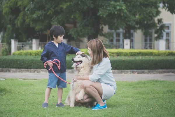 Asya Anne Oğlu Ile Bir Sibirya Husky Köpek Parkta Oynarken — Stok fotoğraf