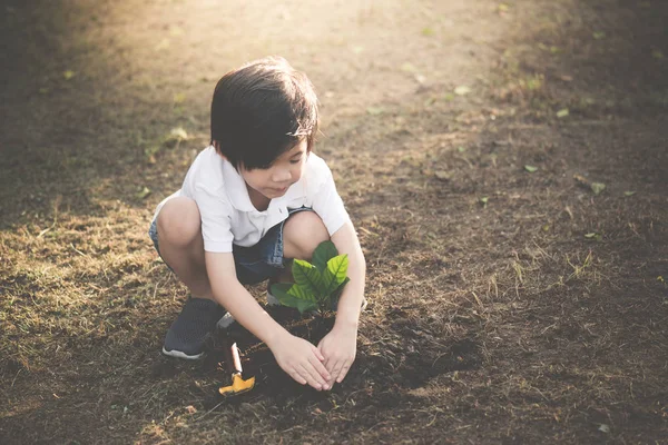 Милый Азиатский Ребенок Сажает Молодое Дерево Черной Почве — стоковое фото