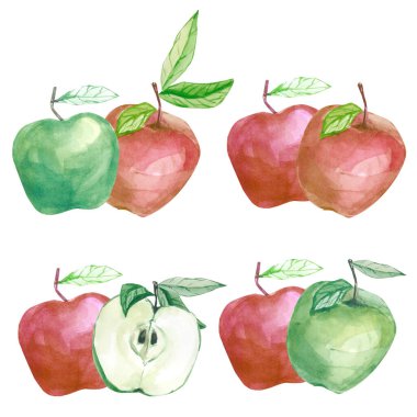 Suluboya izole edilmiş botanik çizimi meyve elması. Düğün kırtasiyesi, tebrik kartları, duvar kağıtları, arka planlar, yaz şablonu, kartvizit, tişört baskısı için elma teçhizatı.