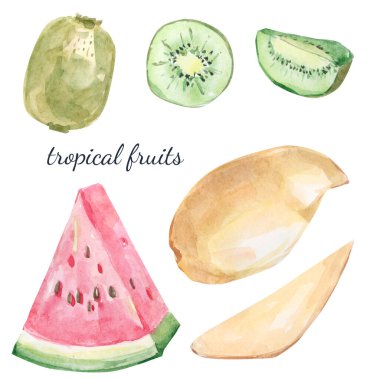 Suluboya yaz egzotik tropikal meyveler koleksiyonu. Beyaz arka planda el boyaması egzotik kuyruklar..