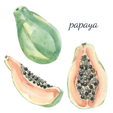 Yaz suluboya muz koleksiyonu. Beyaz arka planda izole edilmiş el yapımı muz meyvesi. Tasarım için bitkisel illüstrasyon, düğün ihlali için baskı