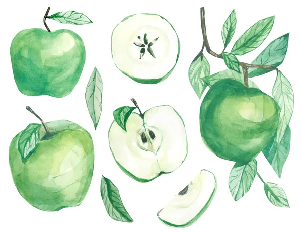 Aquarell Isolierte Botanische Illustration Zweig Mit Apfel Für Hochzeitspapier Grußkarten — Stockfoto