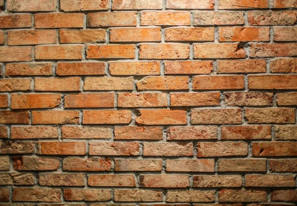 Kafedeki tuğla duvar kağıdı yukarıdan gelen bir lambayla aydınlatılır. Bardaki eski kırmızı tuğlanın duvarı. 