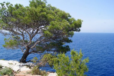 Kornati - Zadar 'ın güneyindeki orta Dalmaçya' da bulunan bir Hırvat takımadası. Yaklaşık 147 adadan oluşur ve yaklaşık 320 km 'lik bir alana sahiptir..