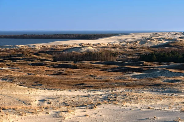 Kuzey kum tepelerinin günbatımı, Curonian salyası, Nida, Klaipeda, Litvanya — Stok fotoğraf