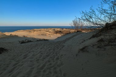 Curonian salyası, Nida, Klaipeda, Litvanya, Baltık Denizi 'ndeki kuzey kum tepeleri ve çalıların günbatımı manzarası