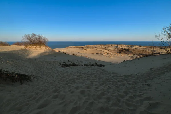 Vista al atardecer de dunas y arbustos nórdicos en el mar Báltico en Curonian spit, Nida, Klaipeda, Lituania — Foto de Stock