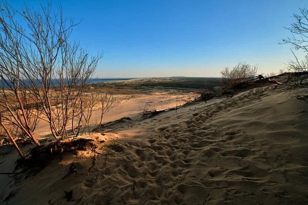 Vista del atardecer de las dunas nórdicas y el mar Báltico en Curonian spit, Nida, Klaipeda, Lituania — Foto de Stock