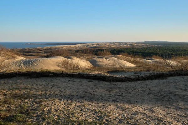 Coucher de soleil sur les dunes nordiques, début du printemps à Curonian spit, Nida, Klaipeda, Lituanie — Photo