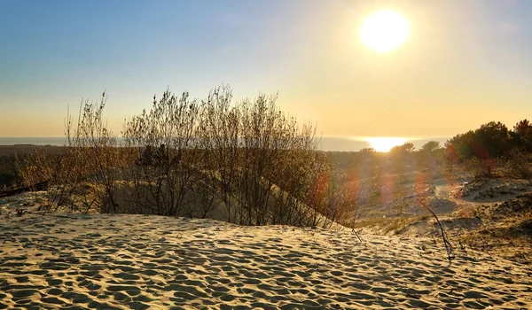 Sonnenuntergang Blick auf die nordischen Dünen an der Kurischen Nehrung, Nida, Klaipeda, Litauen — Stockfoto