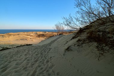 Curonian salyası, Nida, Klaipeda, Litvanya, Baltık Denizi 'ndeki kuzey kum tepeleri ve çalıların günbatımı manzarası