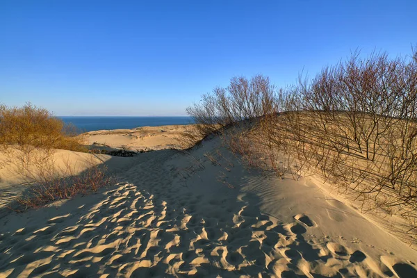 Sonnenuntergang Blick auf nordische Dünen, Fußabdrücke und Büsche an der Ostsee an der Kurischen Nehrung, Nida, Klaipeda, Litauen — Stockfoto