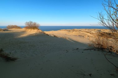 Curonian salyası, Nida, Klaipeda, Litvanya, Baltık Denizi 'ndeki kuzey kum tepeleri ve çalıların günbatımı manzarası