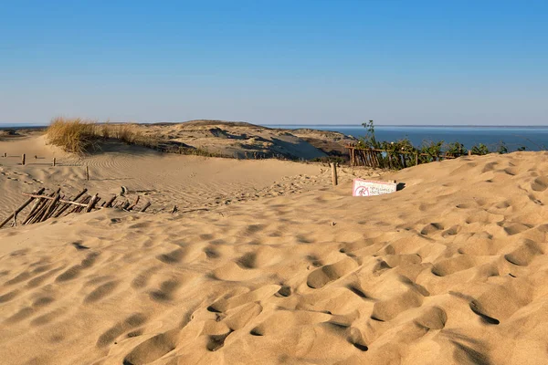 Coucher de soleil sur les dunes nordiques, les empreintes de pas et les buissons à la mer Baltique à Curonian spit, Nida, Klaipeda, Lituanie — Photo