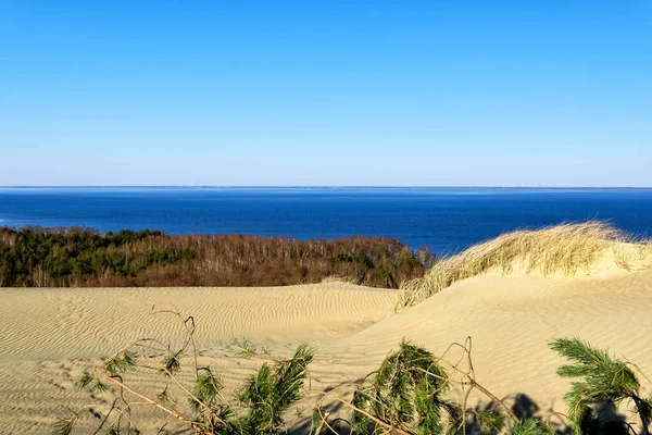 Paysage des dunes nordiques, des collines, des branches de pin et de la mer Baltique à Curonian spit, Nida, Klaipeda, Lituanie. Motifs de sable blanc, vagues. géométrie . — Photo
