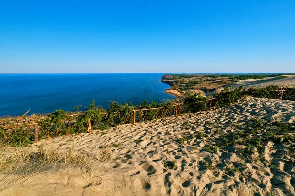 Paysage de la flèche de Courlande, Nida, Klaipeda, la Lithianie et la mer Baltique. Dunes de sable, clôtures de protection, branches de pin, empreintes de pas, flore printanière précoce . — Photo