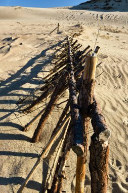Curonian salyası, Nida, Klaipeda, Litvanya 'daki İskandinav kum tepelerinin ve koruyucu çitlerin güzel manzarası. Gömülü odun, çöl ve kum, mavi gökyüzü