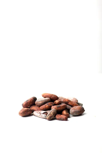 Kakaové boby izolované na bílém pozadí — Stock fotografie