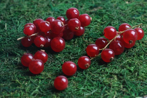 Rami di ribes rosso fresco su erba verde da vicino. Immagine orizzontale — Foto Stock