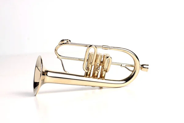 Fluegelhorn beyaz arka planda izole edilmiş. Resim kopyalama alanı içeriyor