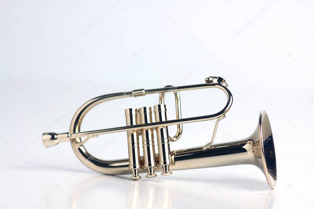 fluegelhorn isolated on white background. Image contains copy space