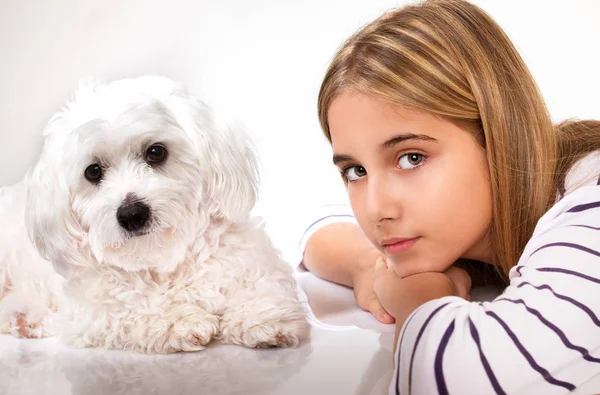 美丽的姑娘和马尔济斯犬的画像. — 图库照片