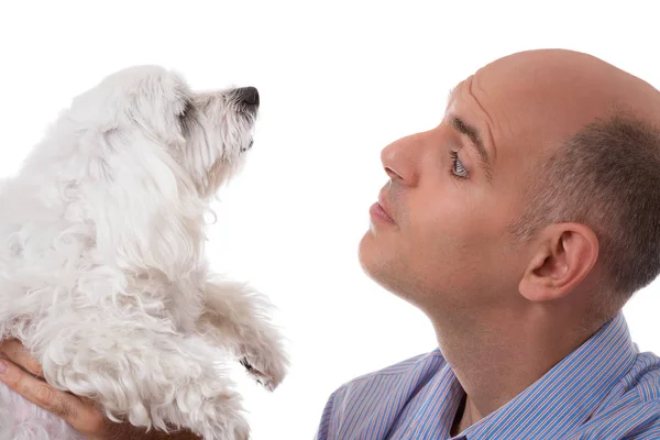 Close-up van portret in profiel van man op zoek naar maltese hond, geïsoleerd — Stockfoto