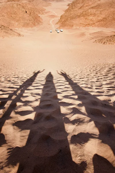 Сафари на джипах в пустыне и человеческие тени на песке — стоковое фото