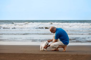 Sahilde köpeğini isteyen adam