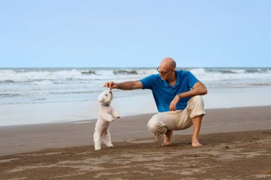 Plajda köpekle oynamayı adam