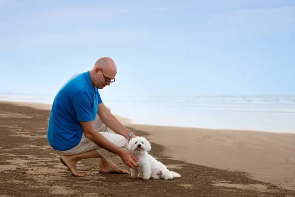 Propietario mirando a su perro en la playa — Foto de Stock